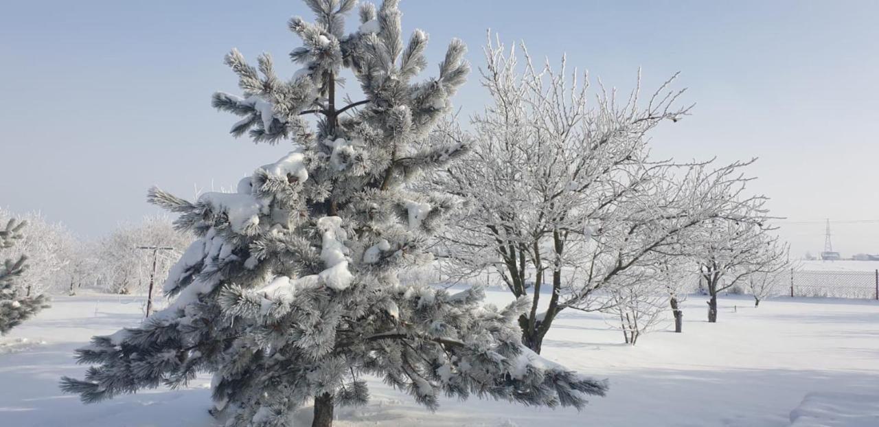 Bialowolskie Wzgorze Zamosc  Bagian luar foto