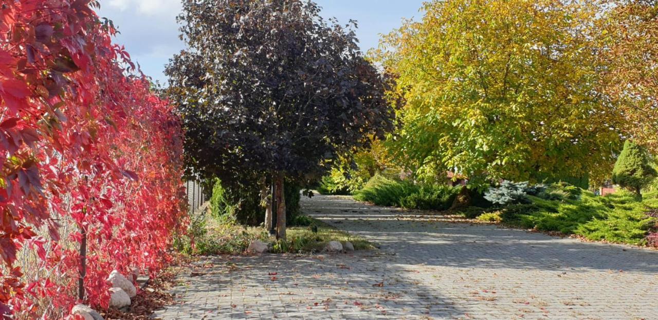 Bialowolskie Wzgorze Zamosc  Bagian luar foto